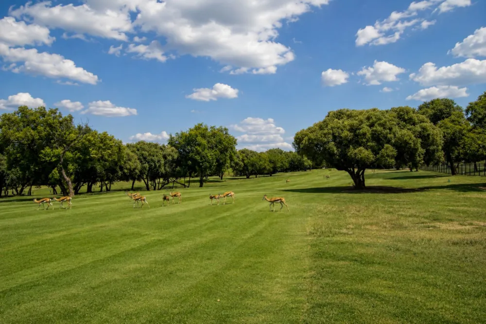 Golf estate house for sale in Magalies Golf Estate - 1HR1739914 Golf estate house for sale in Magalies Golf Estate - 1HR1739914