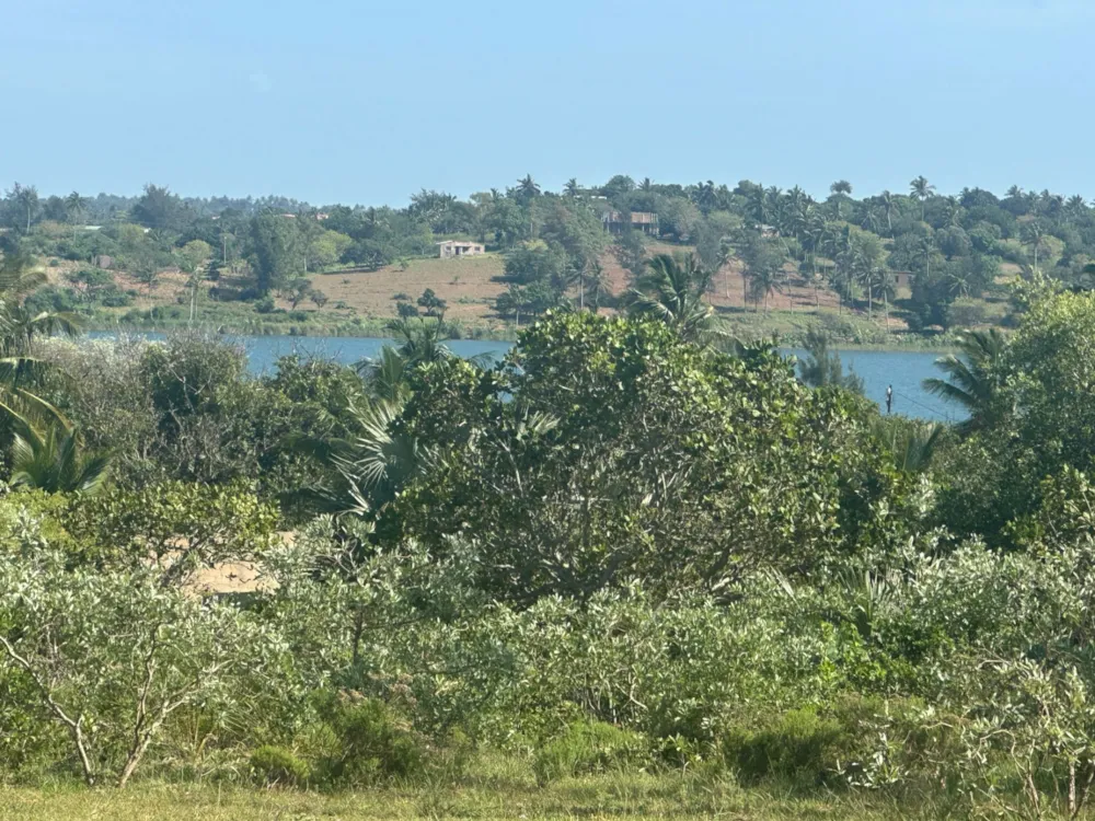 Vacant land for investment in Chidenguele, Gaza, Mozambique - 3MQ1660089 Vacant land for investment in Chidenguele, Gaza, Mozambique - 3MQ1660089