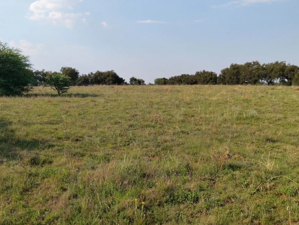 Smallholding for sale in Vanderwesthuizenhoogte - 1VT1756670
