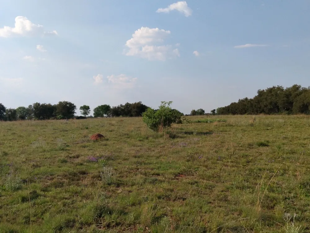 Smallholding for sale in Vanderwesthuizenhoogte - 1VT1756670