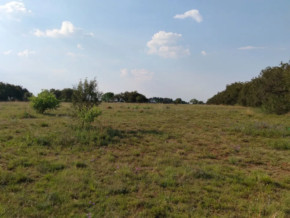 Smallholding for sale in Vanderwesthuizenhoogte - 1VT1756670