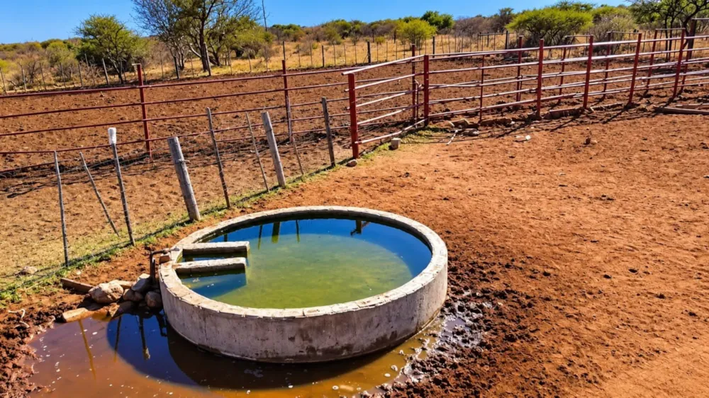 Farm vacant land for sale in Makhado (Louis Trichardt) - 1TA1750259 Farm vacant land for sale in Makhado (Louis Trichardt) - 1TA1750259