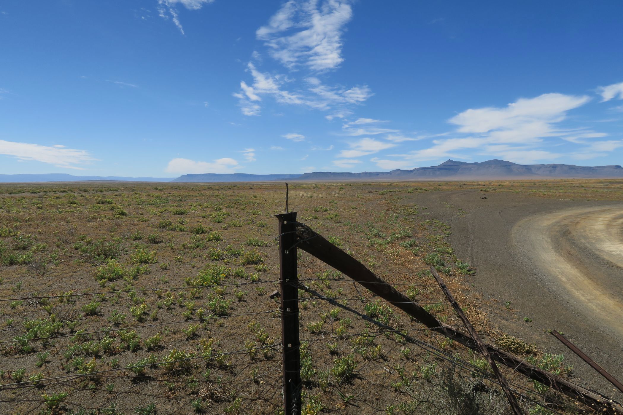 Fynbos farm for sale in Ceres Rural - RV1751030