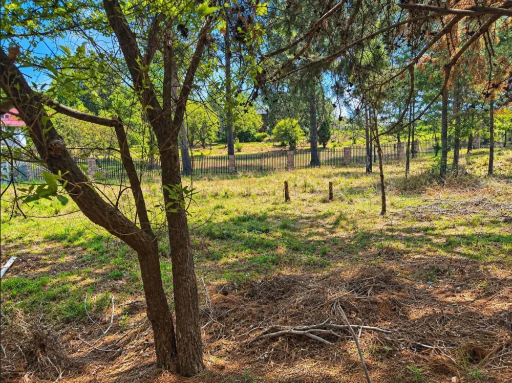 Vacant land for sale in Dullstroom - 1DS1754115