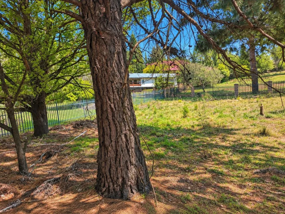 Vacant land for sale in Dullstroom - 1DS1754115