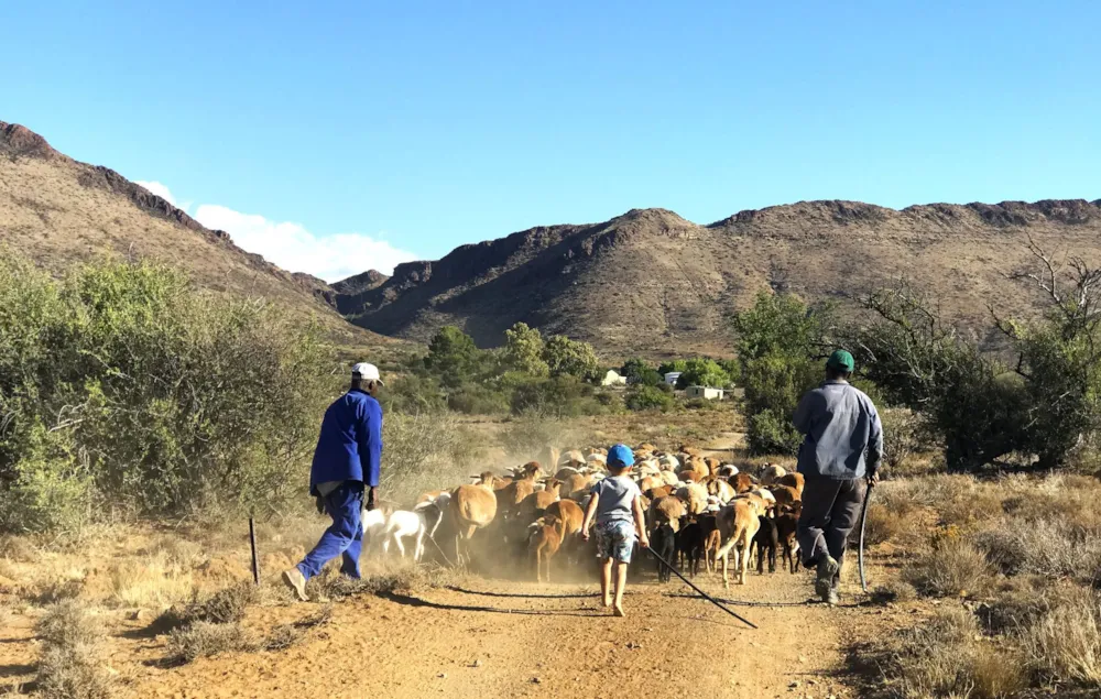 Livestock farm for sale in Middelburg Rural - 1KK1753624 Livestock farm for sale in Middelburg Rural - 1KK1753624