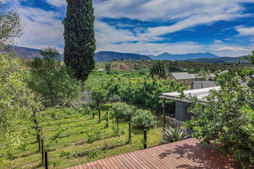 House for sale in Calitzdorp - 1OU1753791 House for sale in Calitzdorp - 1OU1753791