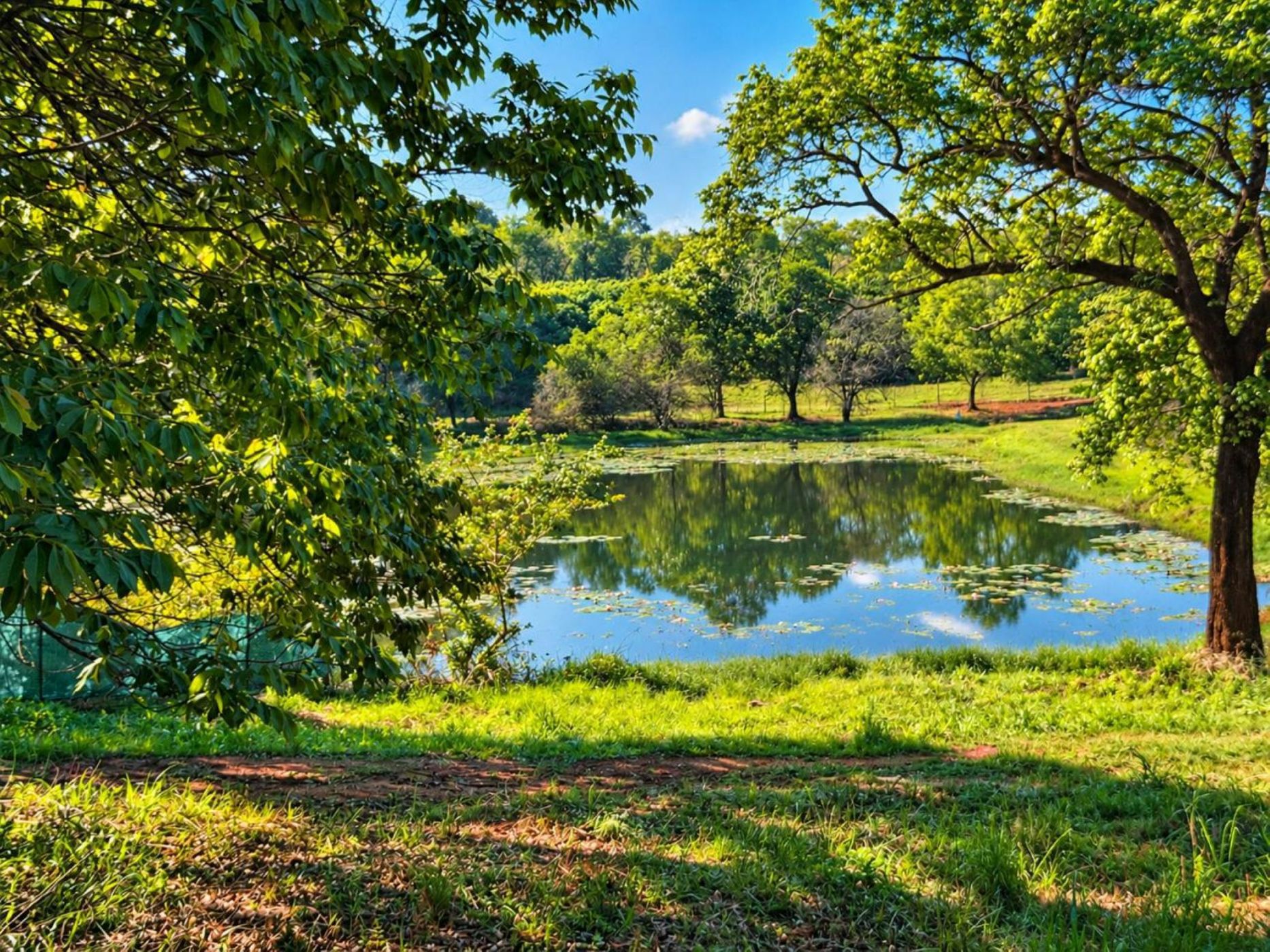 Vacant land for sale in Doornhoek - 1TA1754112