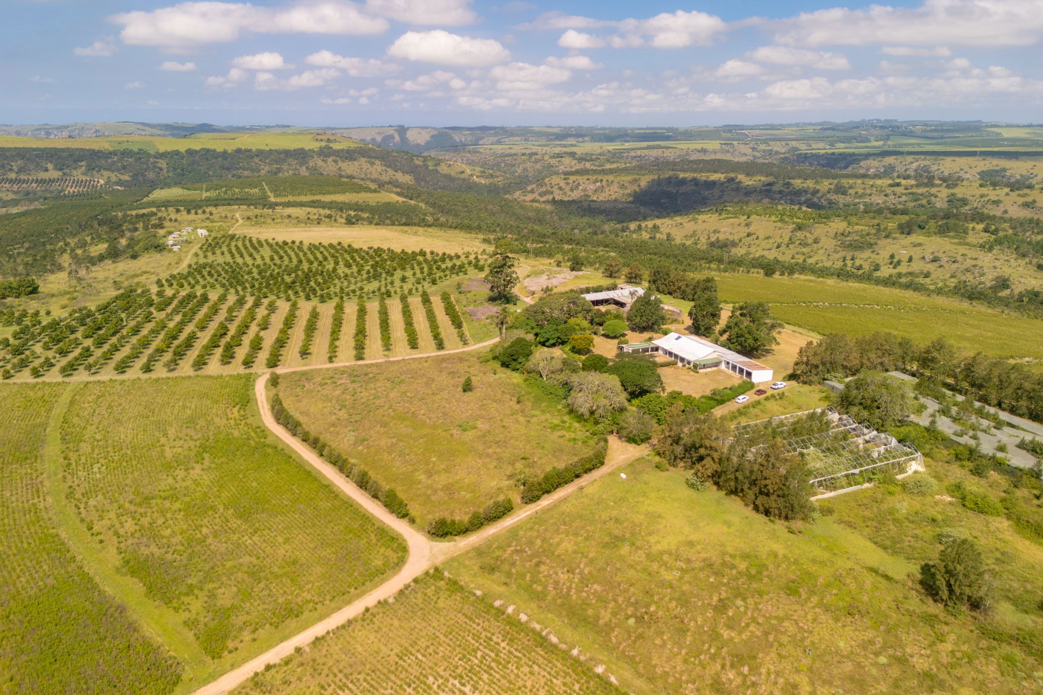 Nut farm for sale in Oribi Flats - 1PSH1756913