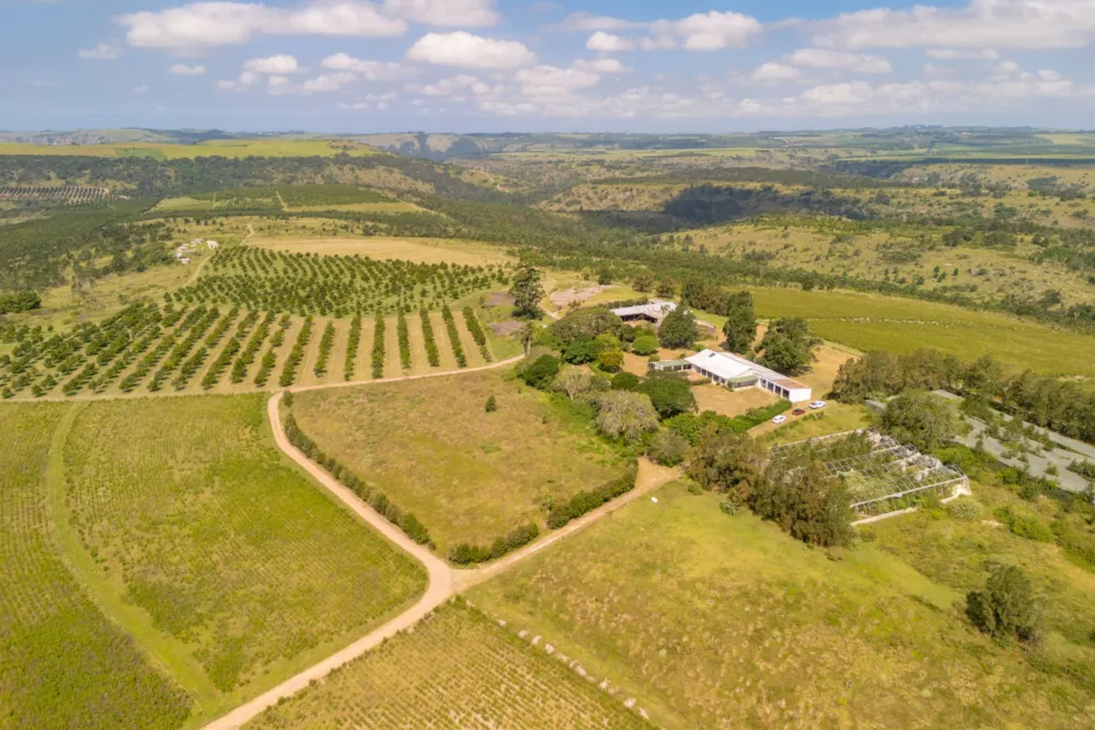 Nut farm for sale in Oribi Flats - 1PSH1756913