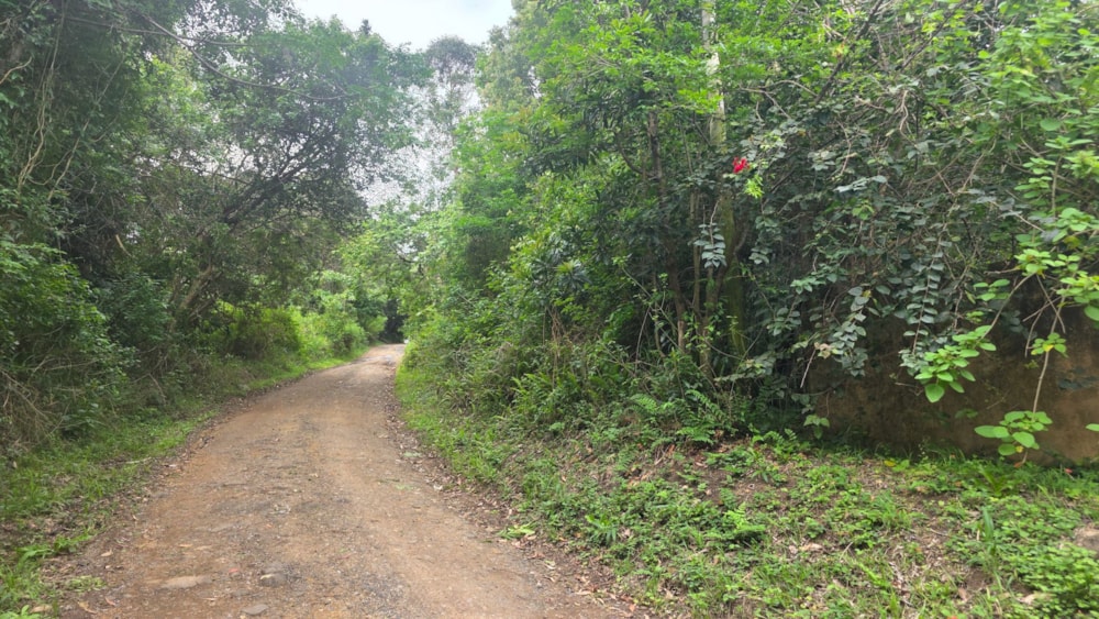 Residential vacant land for sale in Banners Rest - 1PD1754316 Residential vacant land for sale in Banners Rest - 1PD1754316
