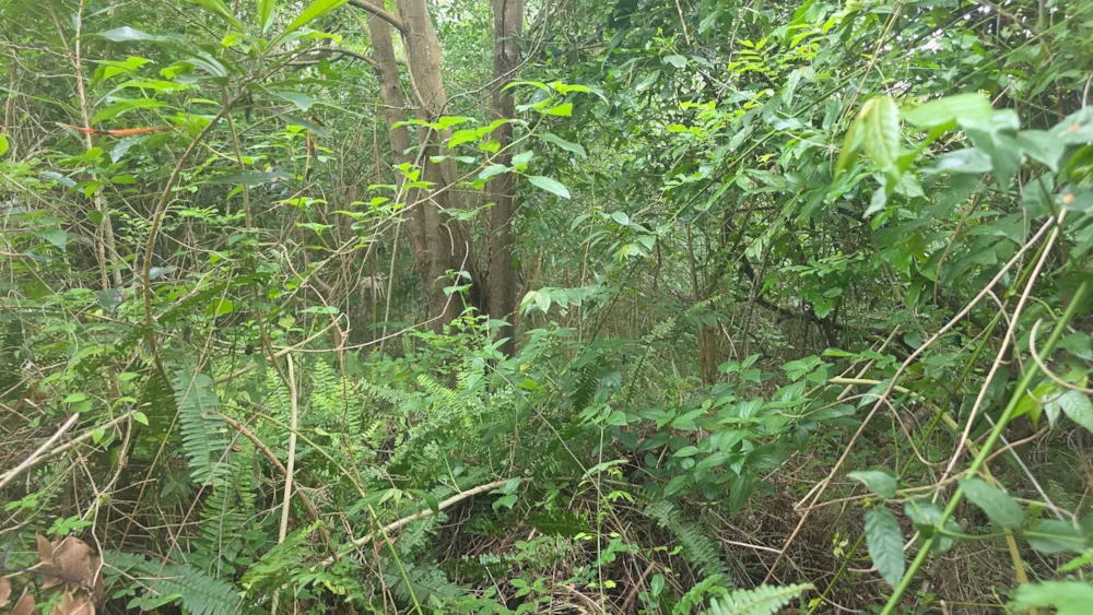 Residential vacant land for sale in Banners Rest - 1PD1754316 Residential vacant land for sale in Banners Rest - 1PD1754316