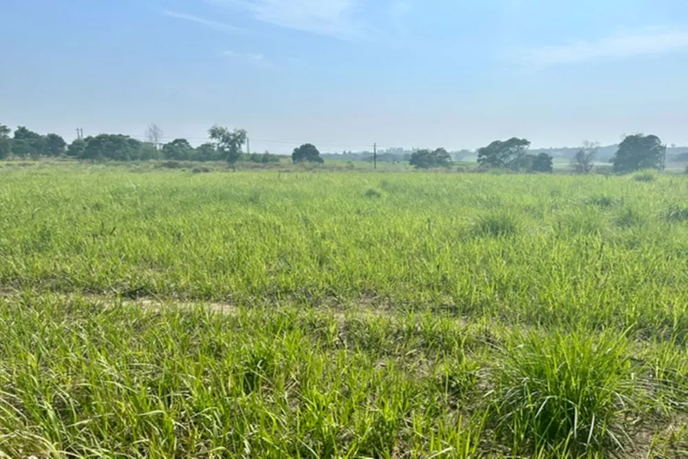 Farm vacant land for sale in Ballito - 1BD1754838
