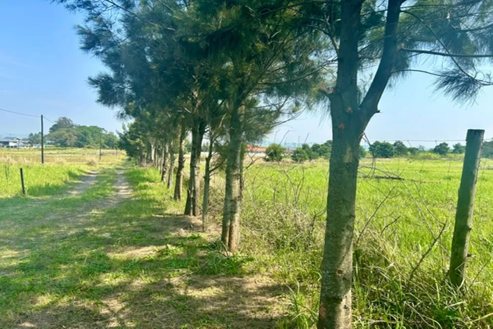 Farm vacant land for sale in Ballito - 1BD1754838