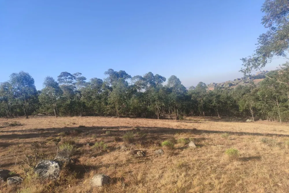 Vacant land for sale in Manzini, Eswatini - 3ES1754825 Vacant land for sale in Manzini, Eswatini - 3ES1754825