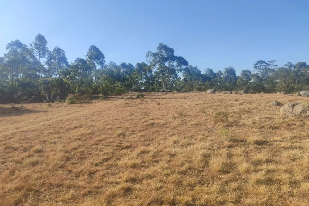 Vacant land for sale in Manzini, Eswatini - 3ES1754825 Vacant land for sale in Manzini, Eswatini - 3ES1754825