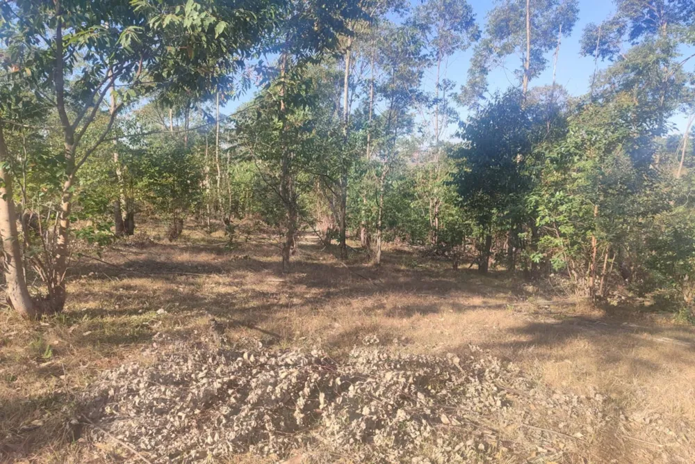 Vacant land for sale in Manzini, Eswatini - 3ES1754825 Vacant land for sale in Manzini, Eswatini - 3ES1754825