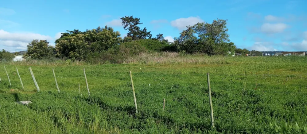 Vacant land for sale in Albertinia - 1SR1755095