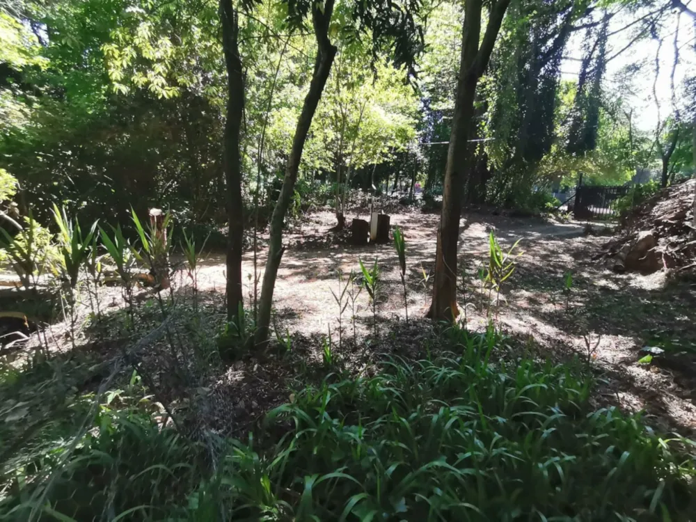 Residential vacant land for sale in Lester Park - 1PM1755178