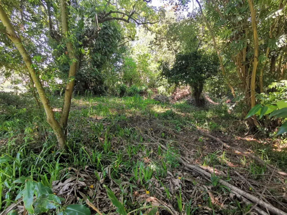 Residential vacant land for sale in Lester Park - 1PM1755178