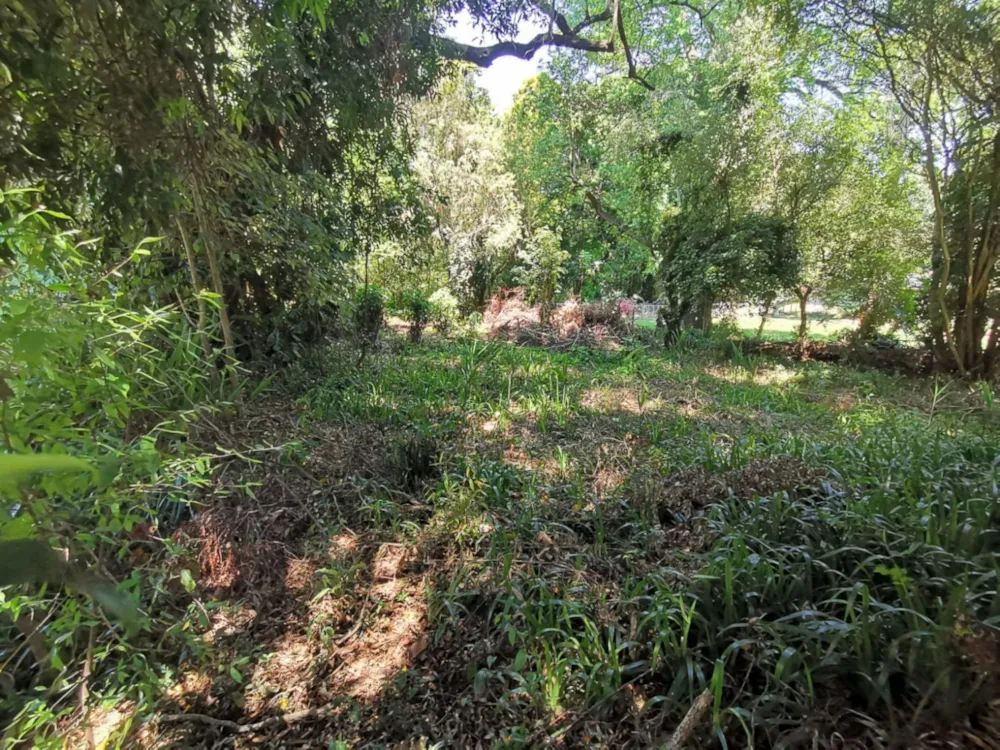 Residential vacant land for sale in Lester Park - 1PM1755178