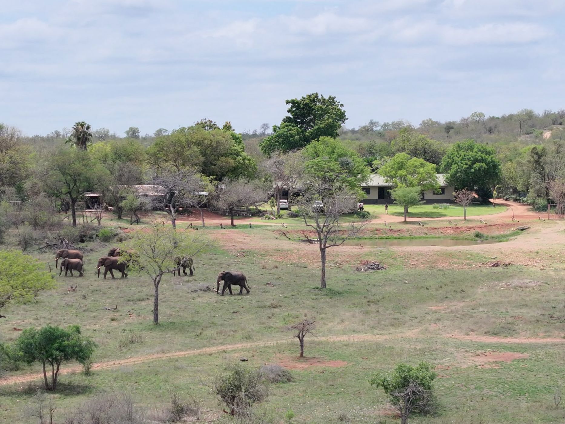 Game farm for sale in Phalaborwa - 1PW1755315