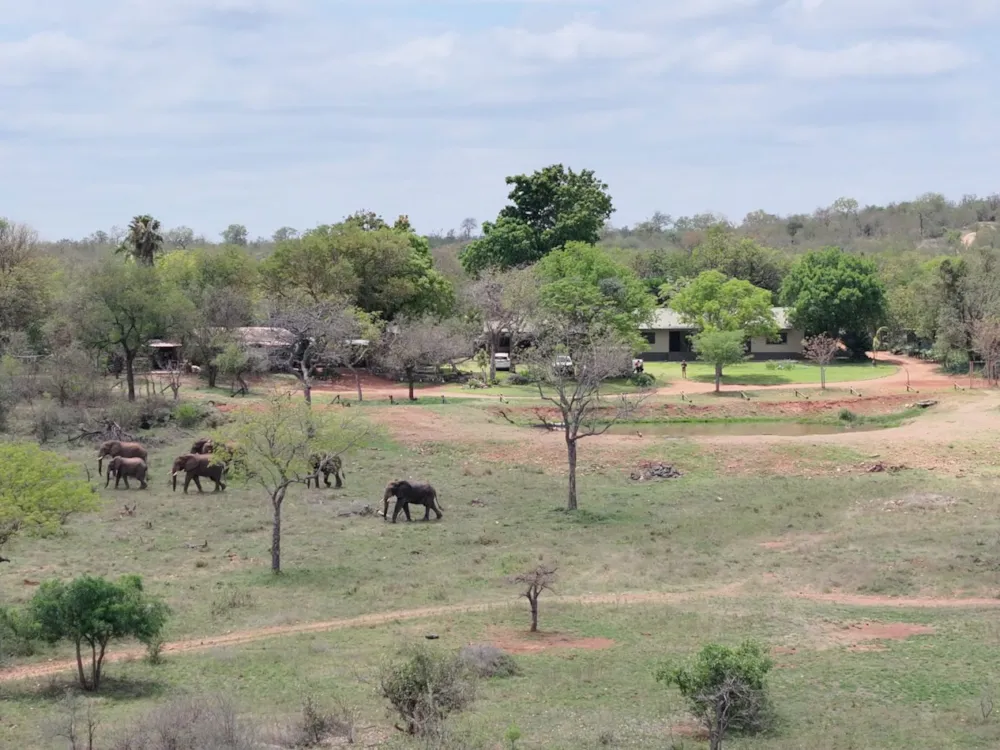 Game farm for sale in Phalaborwa - 1PW1755315 Game farm for sale in Phalaborwa - 1PW1755315