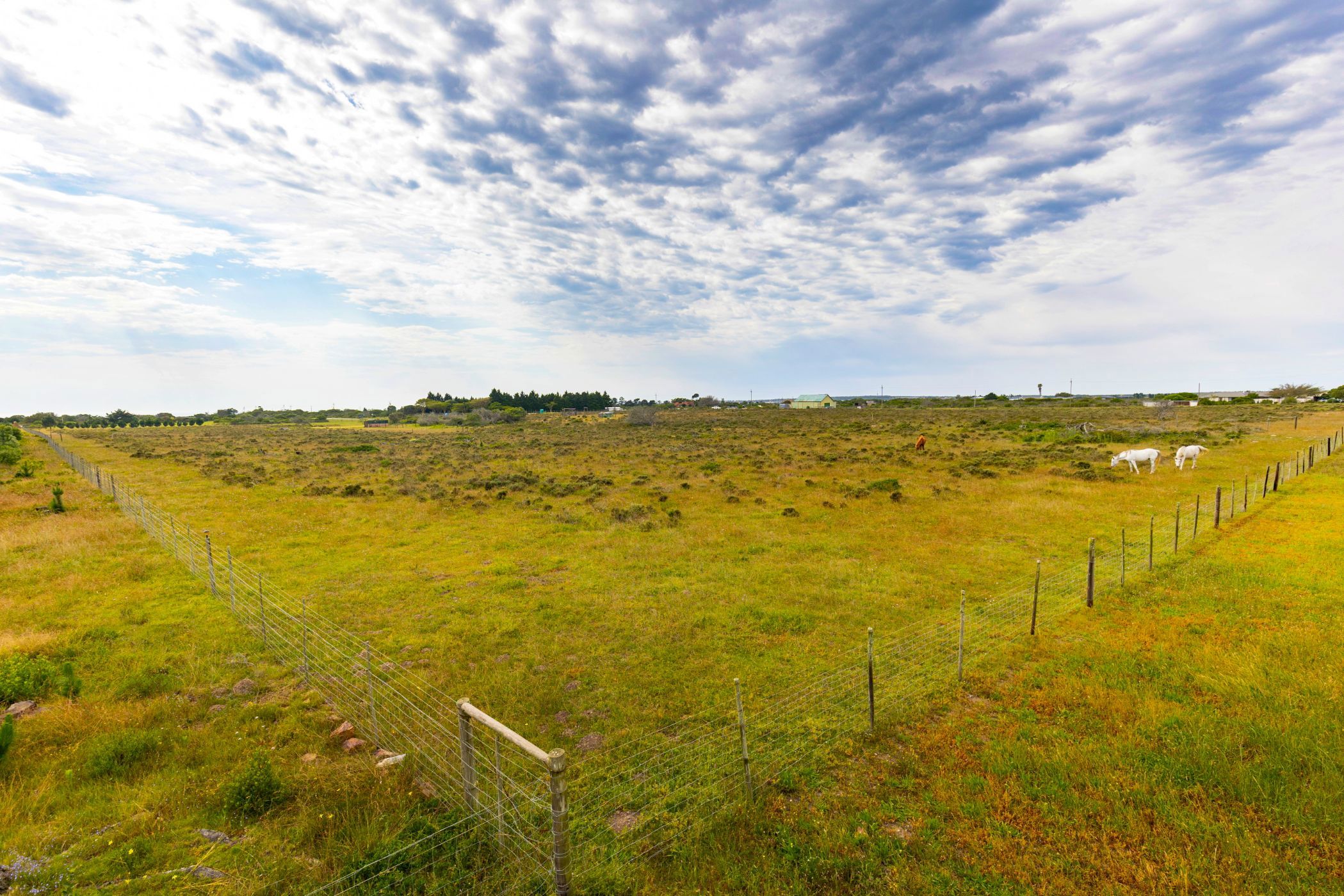 Smallholding for sale in Aalwyndal - 1MB1755489