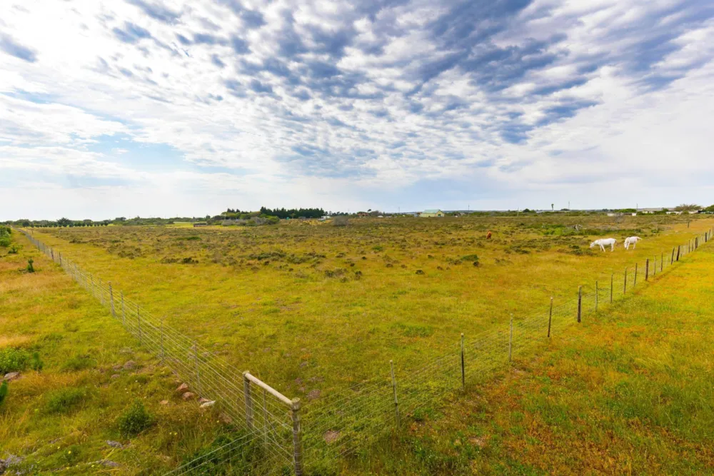 Smallholding for sale in Aalwyndal - 1MB1755489 Smallholding for sale in Aalwyndal - 1MB1755489
