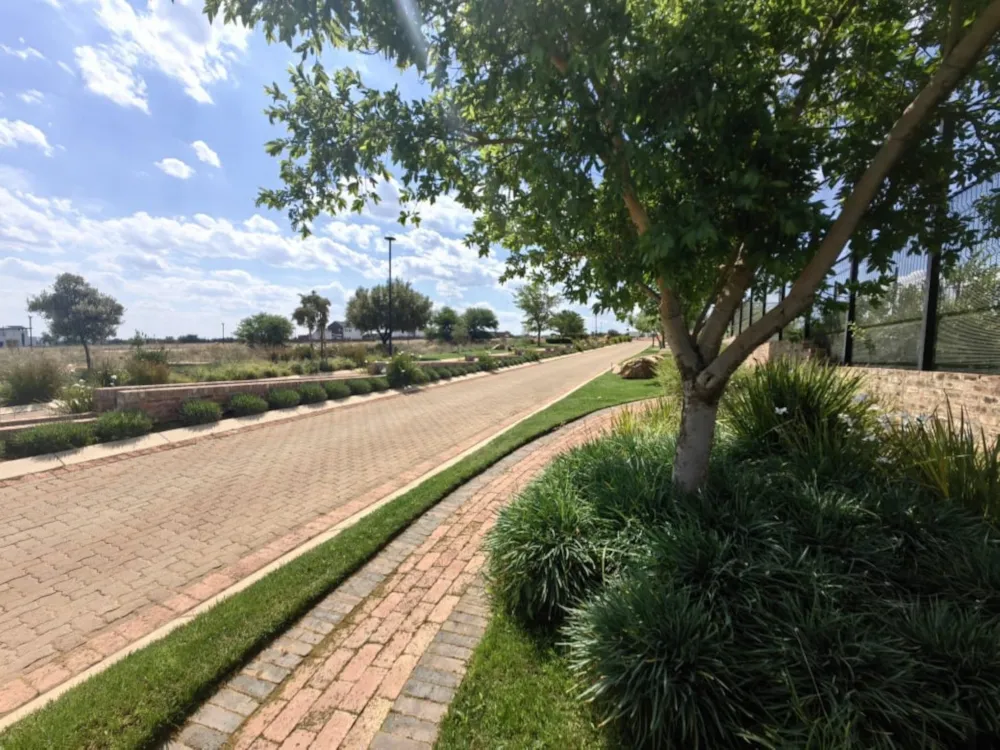 Vacant land for sale in Vyfhoek AH - 1PCH1755491 Vacant land for sale in Vyfhoek AH - 1PCH1755491