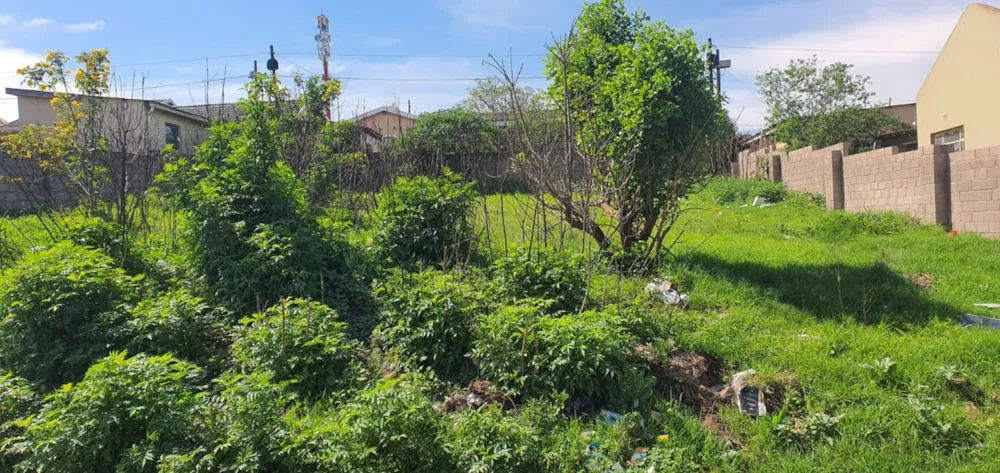 Vacant land for sale in Ikwezi - 1MH1755586 Vacant land for sale in Ikwezi - 1MH1755586