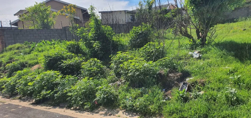 Vacant land for sale in Ikwezi - 1MH1755586 Vacant land for sale in Ikwezi - 1MH1755586