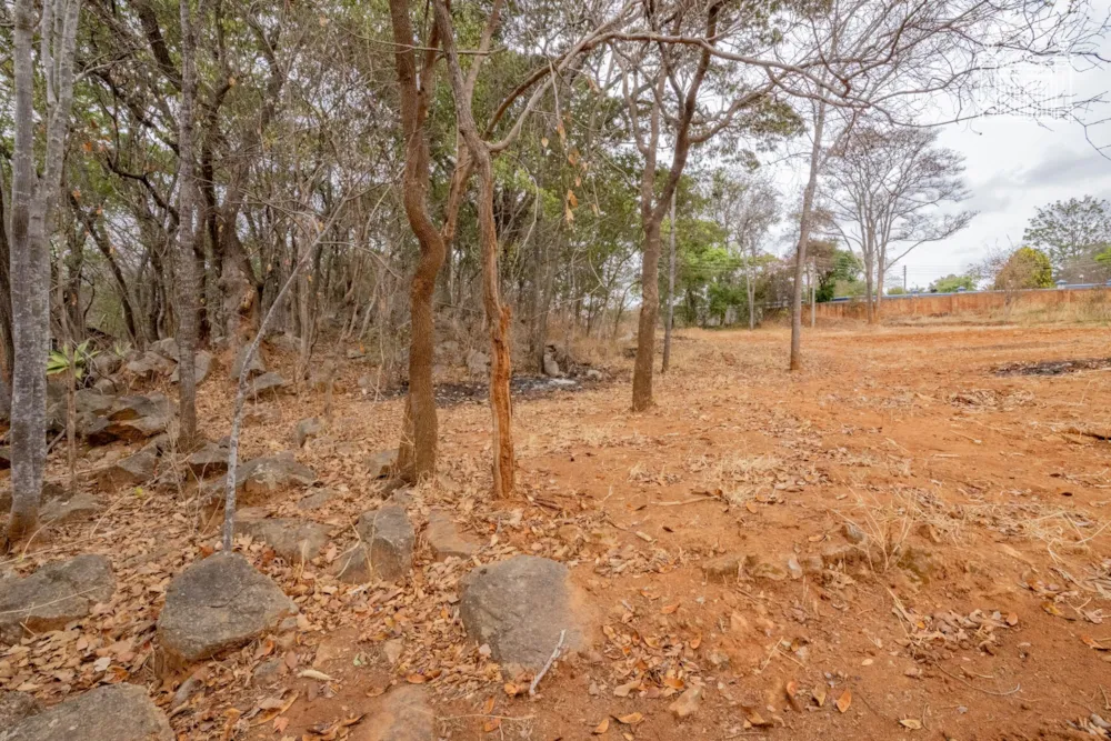Vacant land for sale in Borrowdale Brooke, Zimbabwe - 3ZB1755631