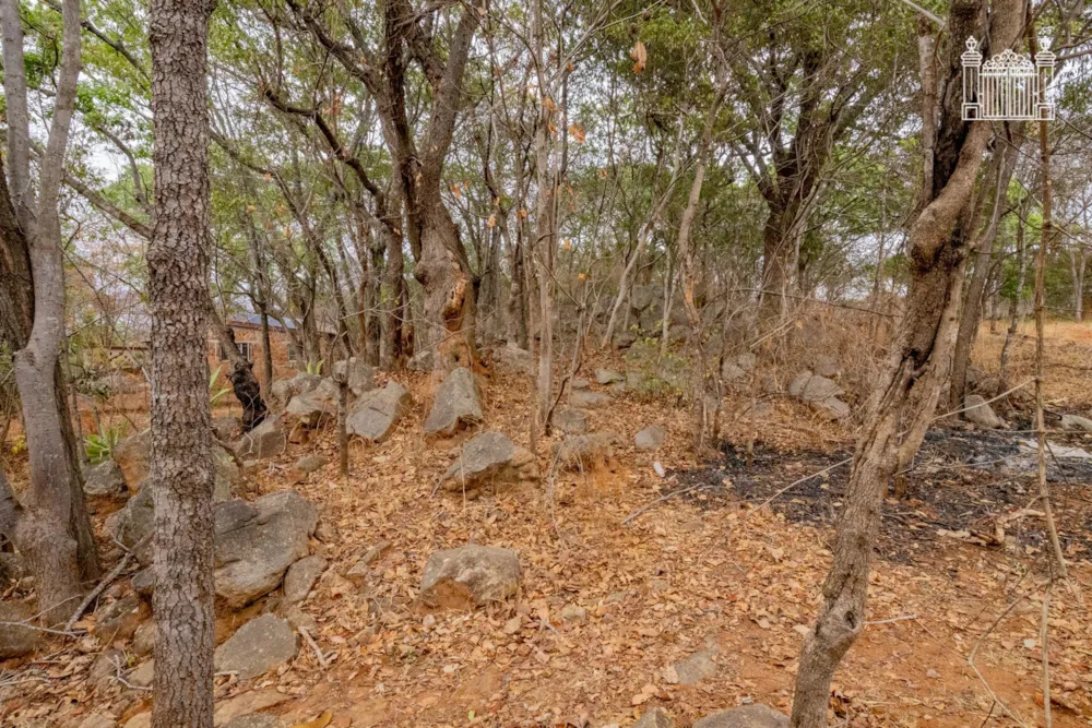 Vacant land for sale in Borrowdale Brooke, Zimbabwe - 3ZB1755631