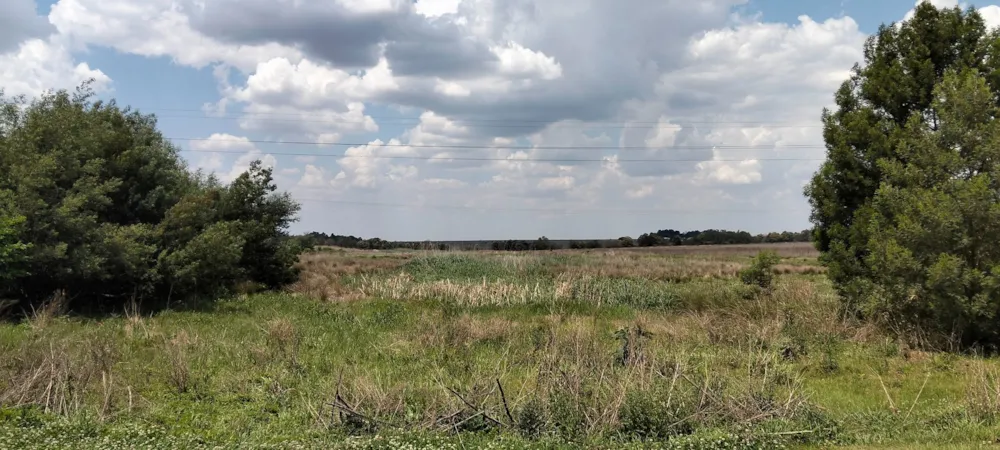 Mixed use farm for sale in Bronkhorstspruit Rural - PRN1755747 Mixed use farm for sale in Bronkhorstspruit Rural - PRN1755747