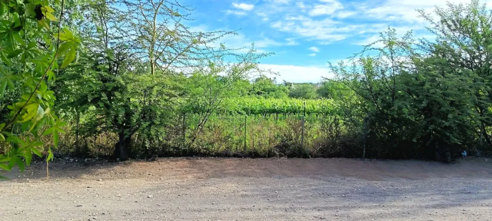 House for sale in Calitzdorp - 1OU1755675 House for sale in Calitzdorp - 1OU1755675