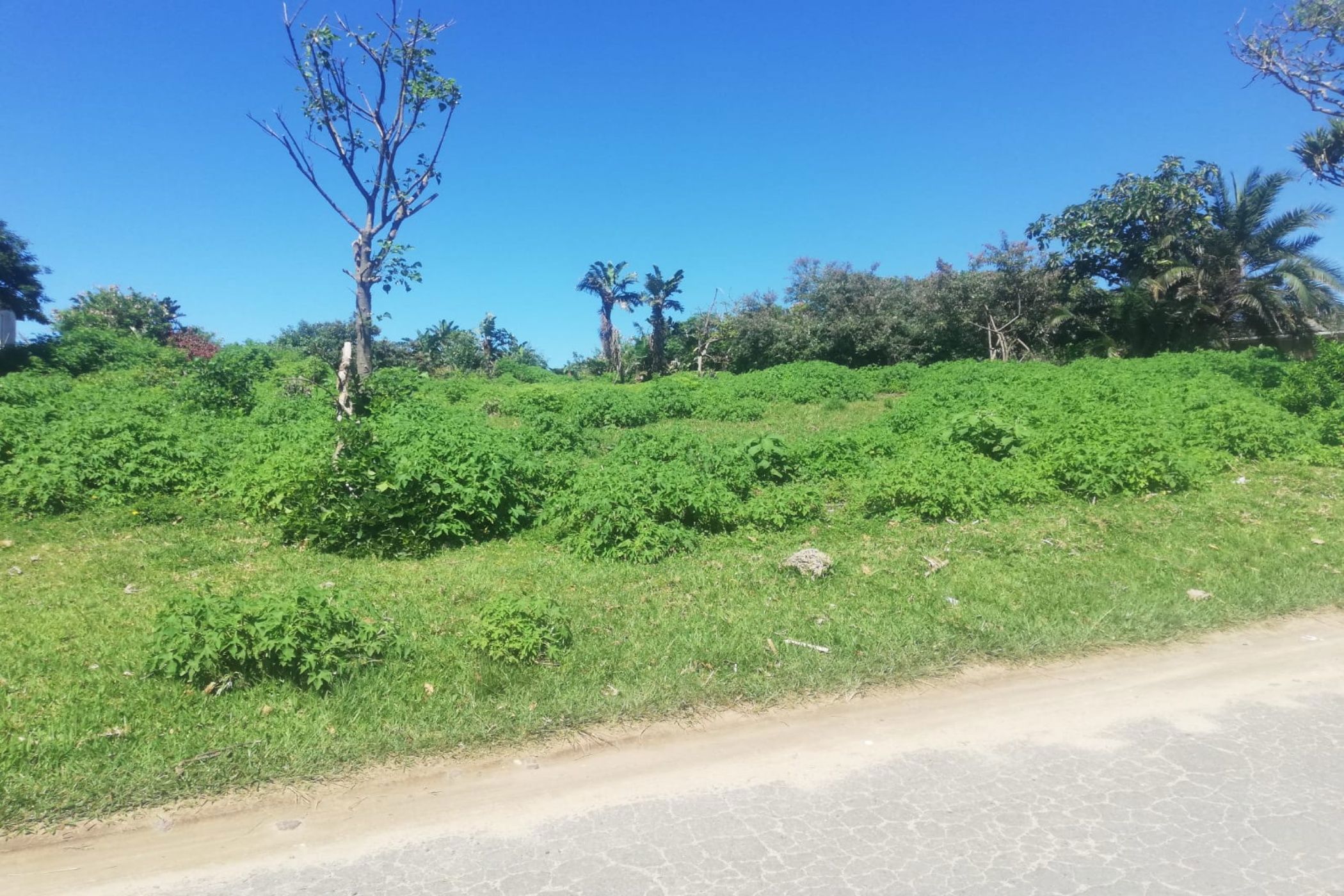 Vacant land for sale in Hibberdene - 1PSH1755877