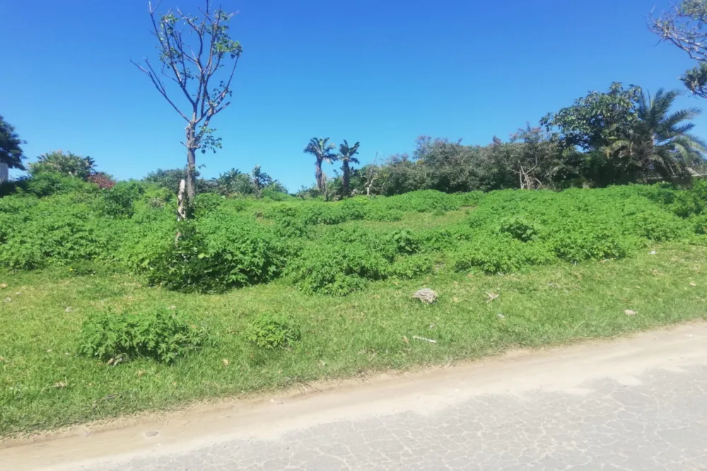 Vacant land for sale in Hibberdene - 1PSH1755877 Vacant land for sale in Hibberdene - 1PSH1755877