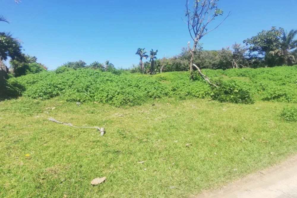 Vacant land for sale in Hibberdene - 1PSH1755877 Vacant land for sale in Hibberdene - 1PSH1755877