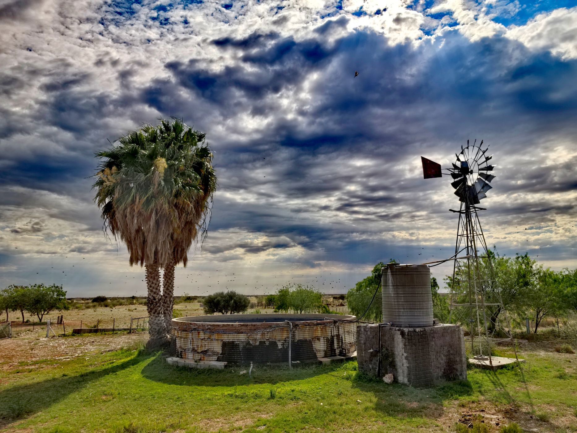 Livestock farm for sale in Mariental, Namibia - 3NM1755994