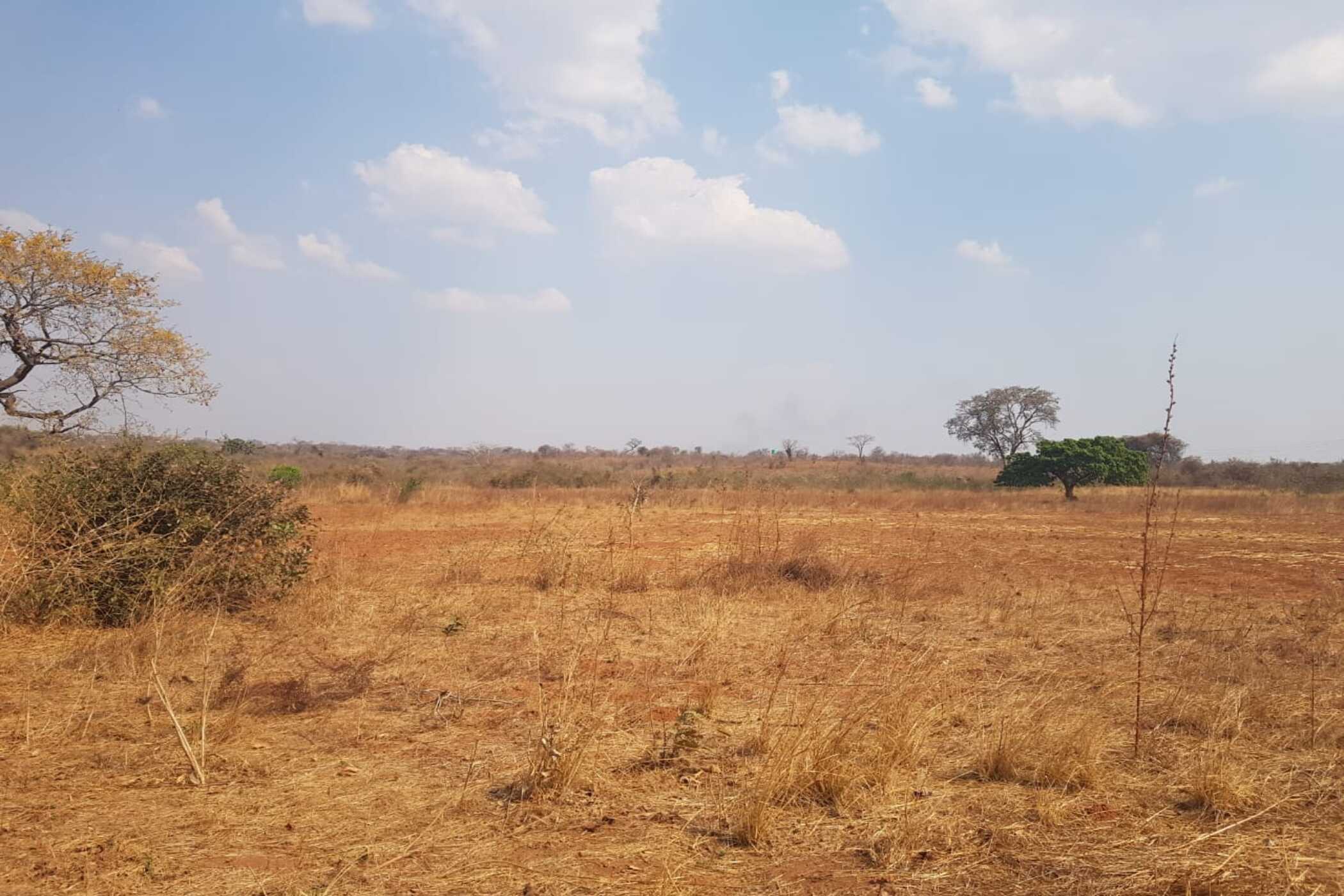 Farm vacant land for sale in Chilanga, Zambia - 3ZA1756107