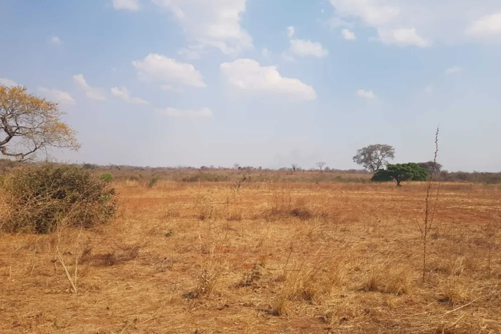 Farm vacant land for sale in Chilanga, Zambia - 3ZA1756107 Farm vacant land for sale in Chilanga, Zambia - 3ZA1756107
