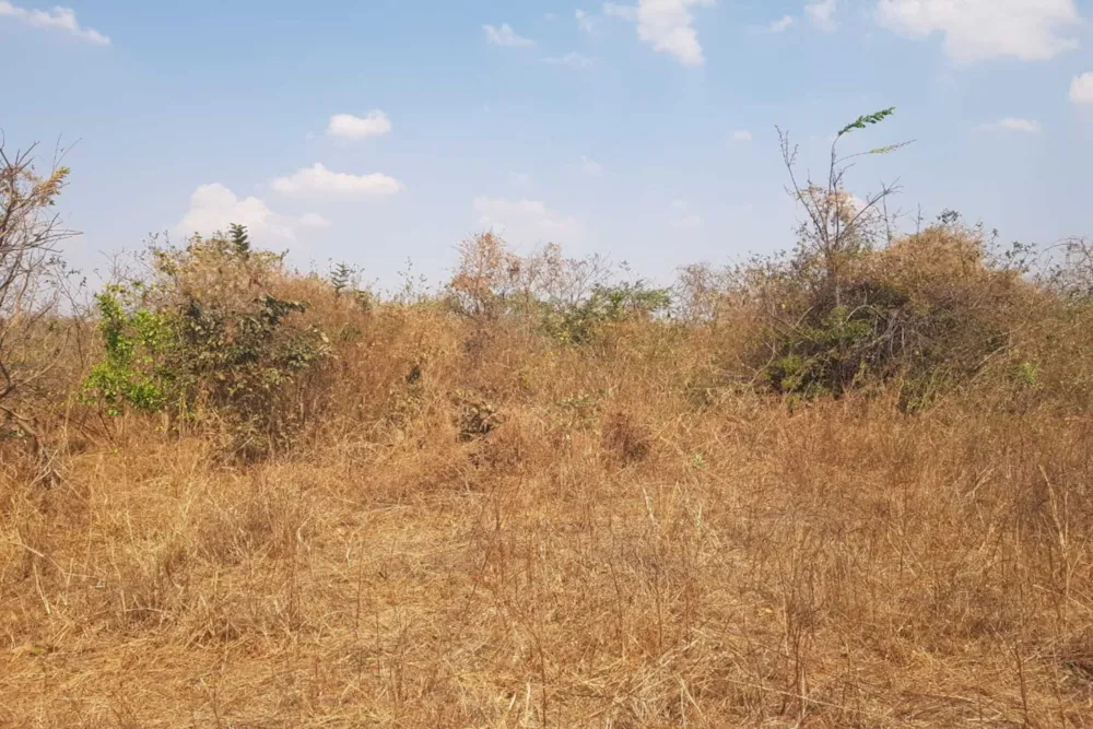 Farm vacant land for sale in Chilanga, Zambia - 3ZA1756107 Farm vacant land for sale in Chilanga, Zambia - 3ZA1756107