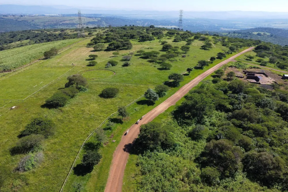 Vacant land for sale in Camperdown - 1PM1756148 Vacant land for sale in Camperdown - 1PM1756148