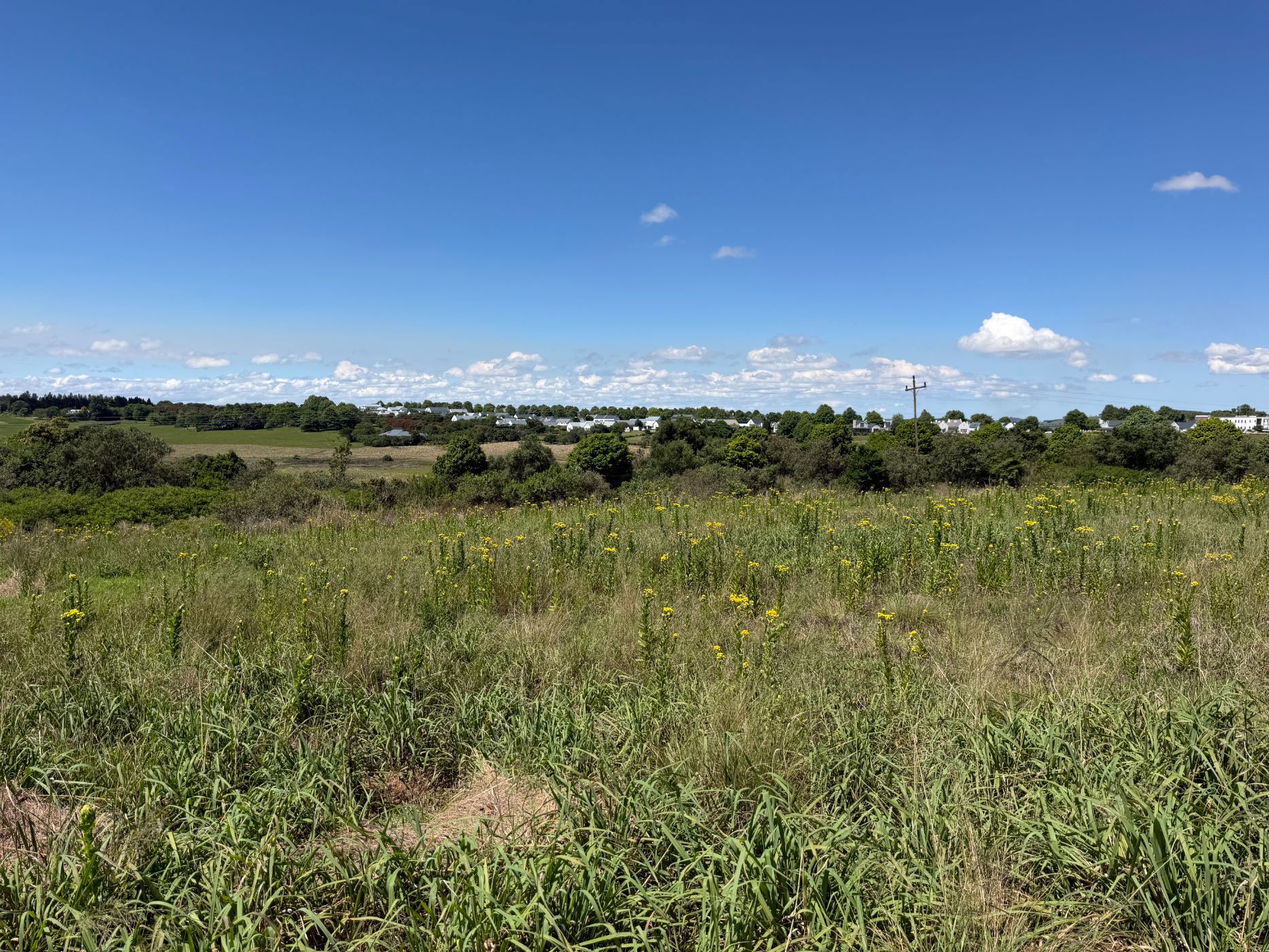 Residential vacant land for sale in Hilton Gardens - 1PM1756254
