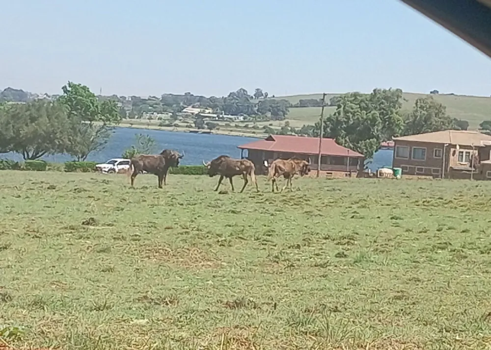 Security estate home for sale in Witbank (eMalahleni) - 1MD1756355 Security estate home for sale in Witbank (eMalahleni) - 1MD1756355