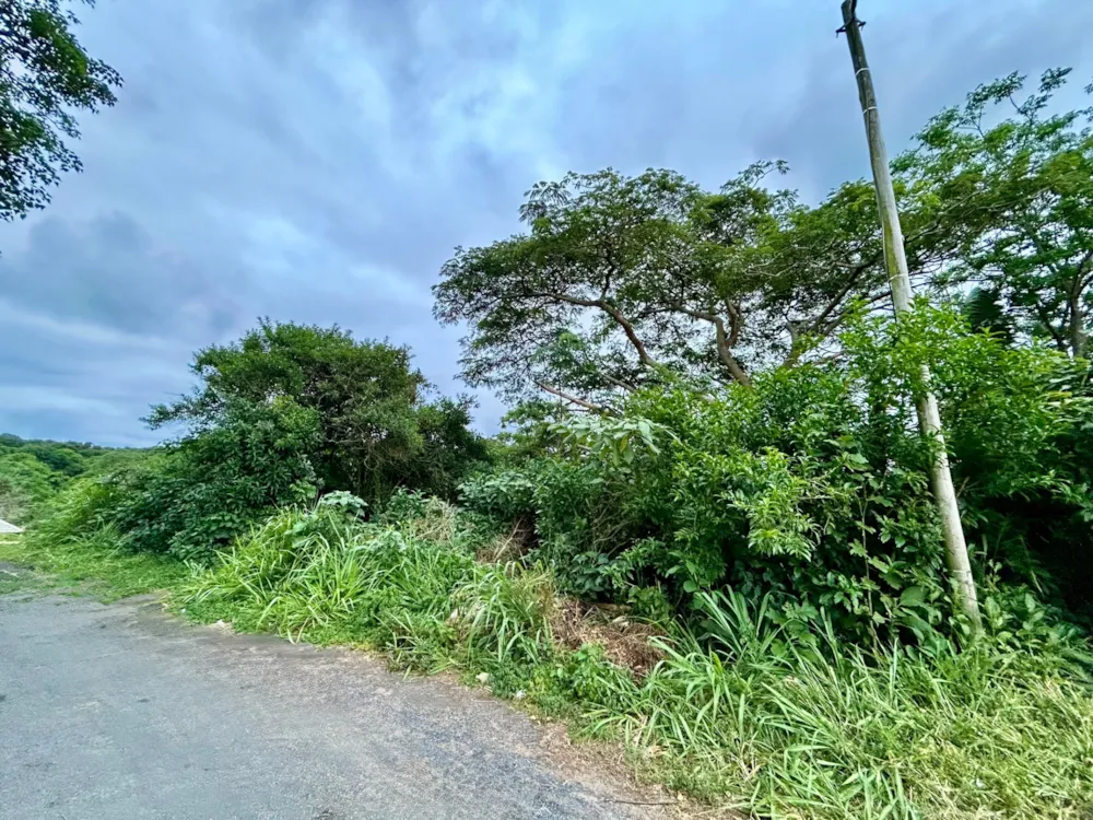 Residential vacant land for sale in Melville, Port Shepstone - 1PSH1756615