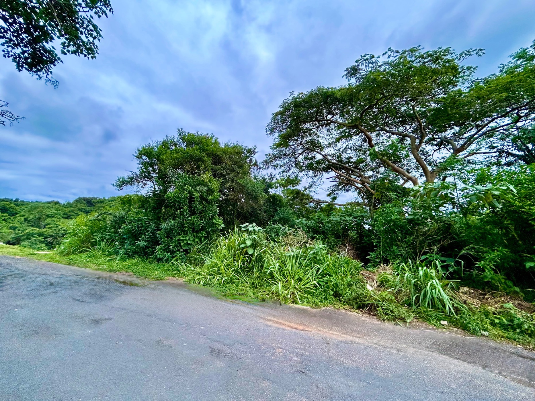 Residential vacant land for sale in Melville, Port Shepstone - 1PSH1756615