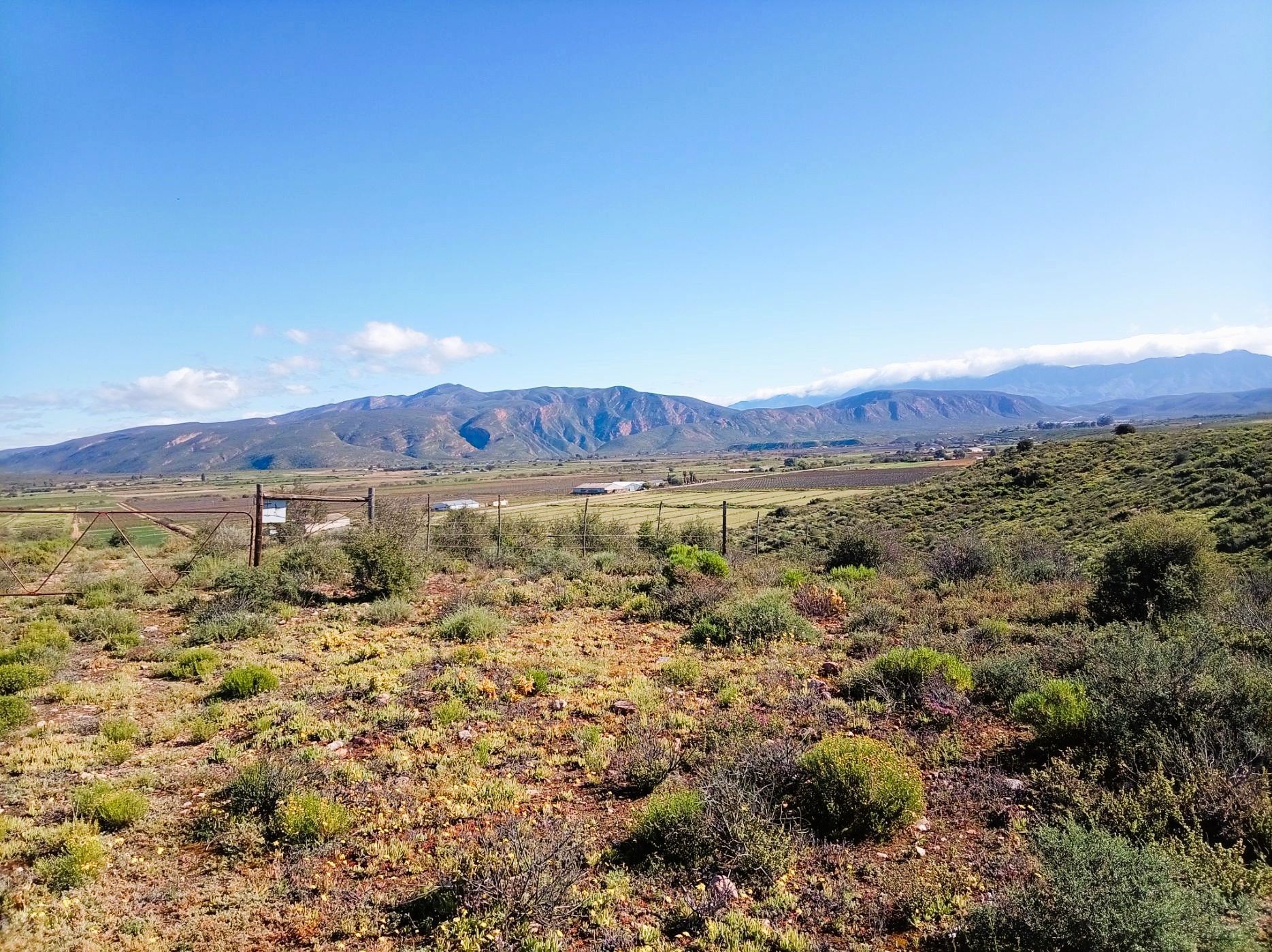 Poultry farm for sale in Calitzdorp - 1OU1756920