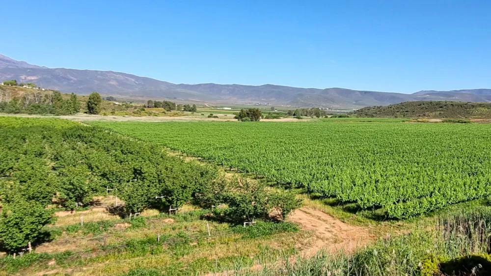 Mixed use farm for sale in Robertson Rural - ROB1756748 Mixed use farm for sale in Robertson Rural - ROB1756748